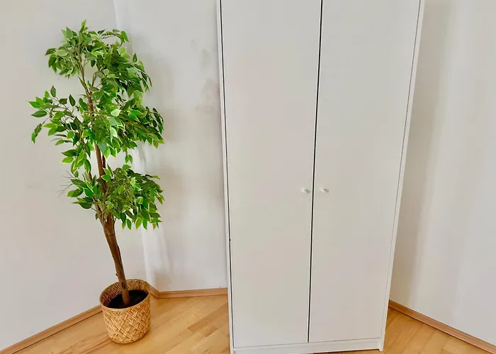 100 M2 Near Metro & Center Bécs